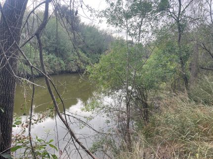 Waterfront Property for sale in Zavala County, Texas