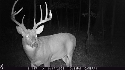 Farm and Ranch for sale in Bond County, Illinois