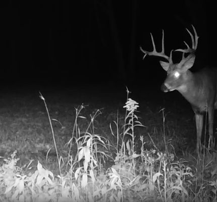 Land for sale in Mille Lacs County, Minnesota