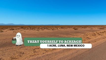 Undeveloped Land for sale in Luna County, New Mexico