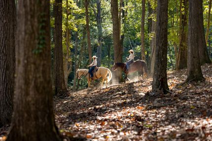 Farm and Ranch for sale in Williamson County, Tennessee