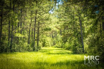 Timberland Property for sale in Tyler County, Texas