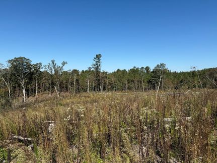Land for sale in Choctaw County, Mississippi
