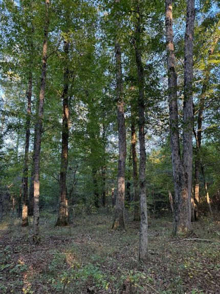 Farm and Ranch for sale in Choctaw County, Mississippi