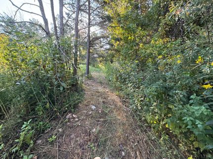 Undeveloped Land for sale in Bedford County, Virginia