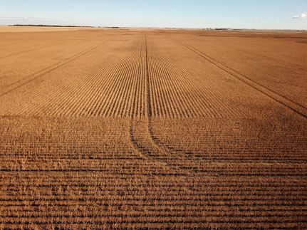 Land for sale in Emmons County, North Dakota