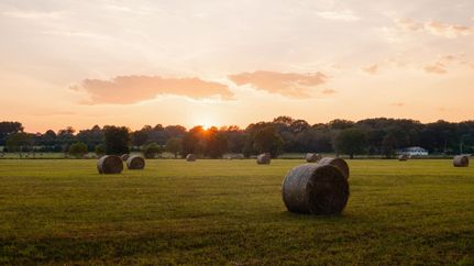 Land for sale in Madison County, Alabama