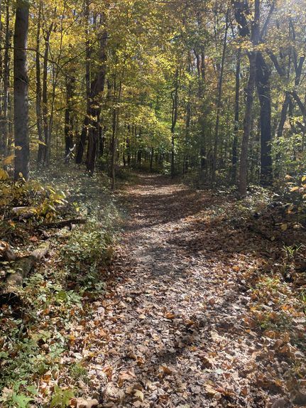 Land for sale in Crawford County, Indiana