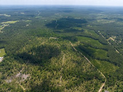 Undeveloped Land in Trinity County, Texas