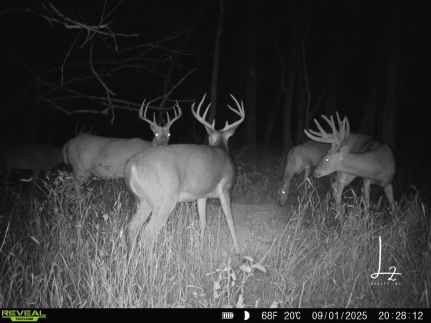 Undeveloped Land for sale in Neosho County, Kansas