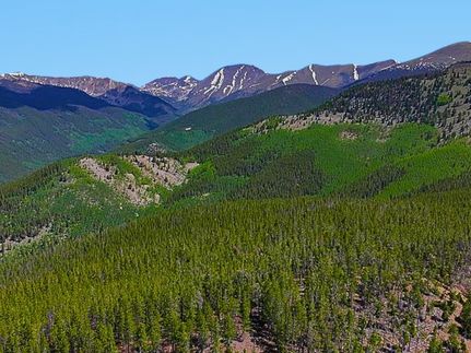 Undeveloped Land for sale in Gunnison County, Colorado