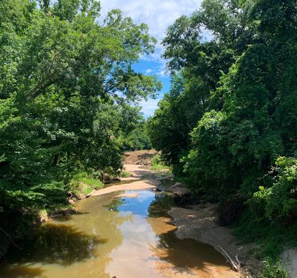 Recreational Property for sale in Claiborne County, Mississippi