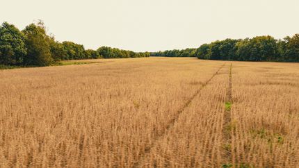 Recreational Property in Pope County, Illinois