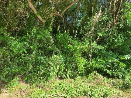 Land for sale in Orangeburg County, South Carolina