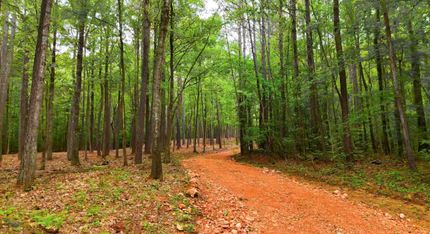 Farm and Ranch for sale in Shelby County, Alabama