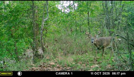 Recreational Property for sale in Miller County, Missouri