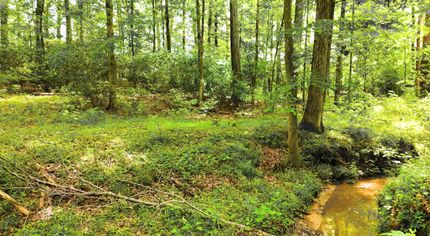 Farm and Ranch for sale in Shelby County, Alabama