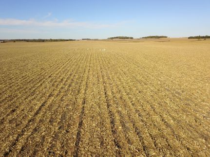 Land for sale in Freeborn County, Minnesota