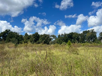 Land for sale in Volusia County, Florida