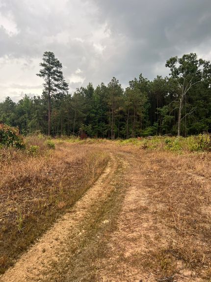 Timberland Property for sale in Jefferson County, Arkansas