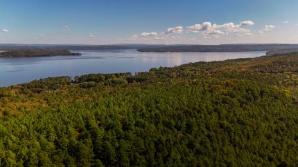 Farm and Ranch for sale in Yell County, Arkansas