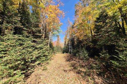 Land for sale in Dickinson County, Michigan