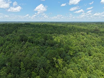 Timberland Property for sale in Harrison County, Texas