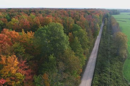 Undeveloped Land for sale in Alger County, Michigan