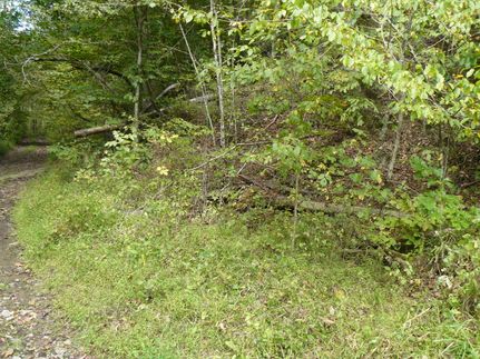 Timberland Property for sale in Claiborne County, Tennessee