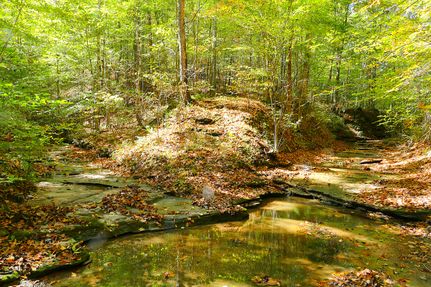 Recreational Property for sale in Metcalfe County, Kentucky
