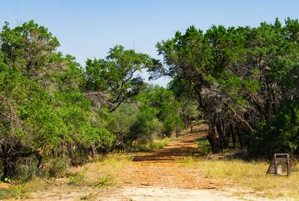 Undeveloped Land for sale in Travis County, Texas