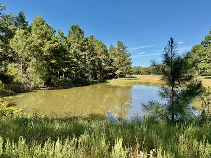 Farm and Ranch for sale in Houston County, Texas