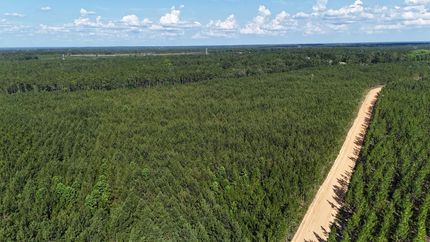 Land for sale in Appling County, Georgia