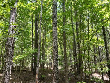 Farm and Ranch in Montgomery County, Alabama