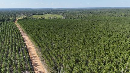 Land for sale in Appling County, Georgia