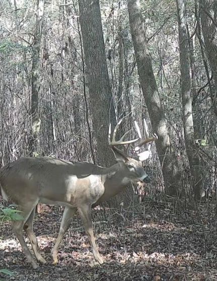 Recreational Property for sale in Peach County, Georgia