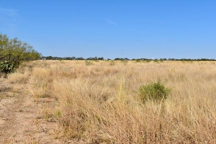 Farm and Ranch for sale in McCulloch County, Texas