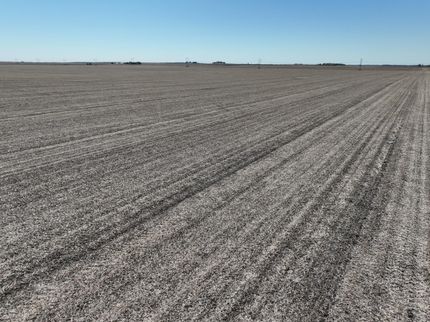 Land for sale in Douglas County, Illinois