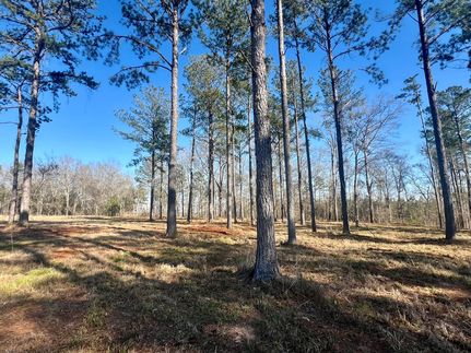 Hunting Property for sale in Pike County, Alabama