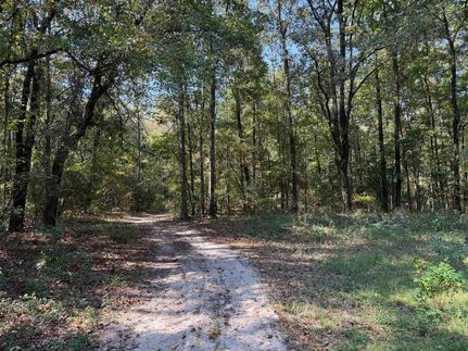 Land for sale in Barbour County, Alabama