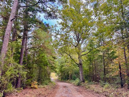 Land for sale in Cass County, Texas