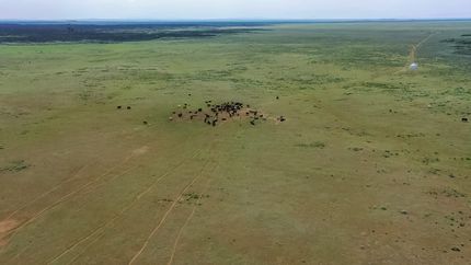 Farm and Ranch for sale in Blaine County, Idaho