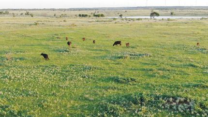 Recreational Property for sale in Archer County, Texas