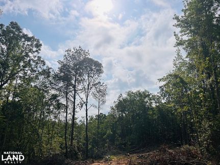 Land in Bibb County, Alabama