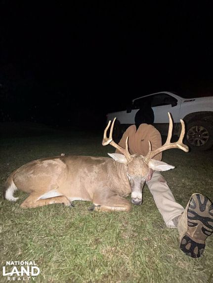 Farm and Ranch for sale in Houston County, Alabama