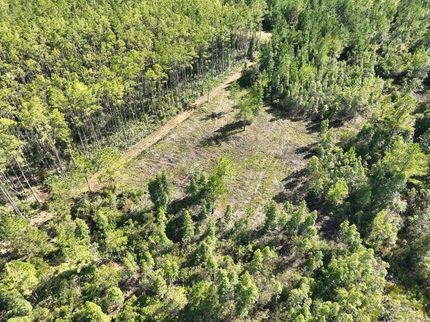 Farm and Ranch for sale in Camden County, Georgia