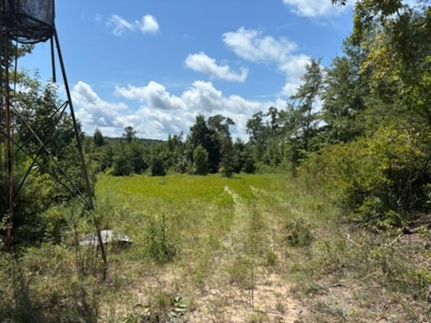 Recreational Property in Marion County, Georgia