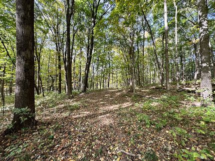 Timberland Property for sale in Warren County, Illinois