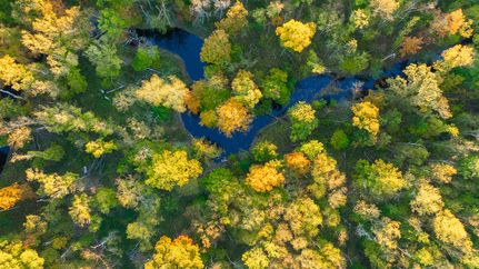 Land for sale in Clay County, Illinois