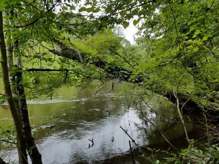 Undeveloped Land for sale in Colleton County, South Carolina